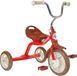 10" Super Touring tricycle Champion